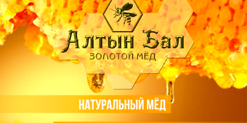 Клиент Элит-Медиа